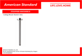 American Standard Ceiling Mount Shower Arm (FFAS9908-000500BC0)