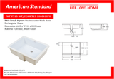 American Standard Thin Touch Square-Under Counter Wash Basin Rectangular Shape (WP-F513 -WT)