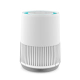 HEPA Filter Air Purifier (Model D)